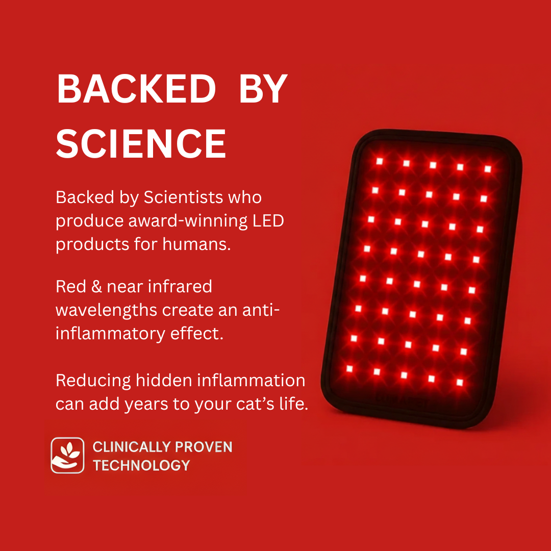 Mellochi Paws™ Red Light Therapy Pad