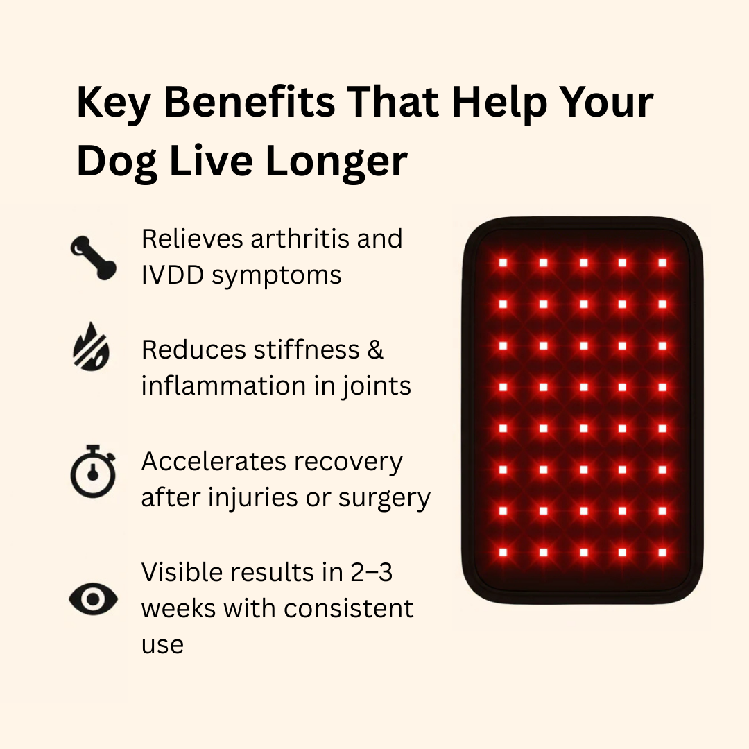 Mellochi Paws Red Light Therapy Pad