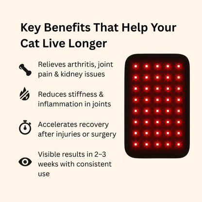 Mellochi Paws™ Red Light Mat